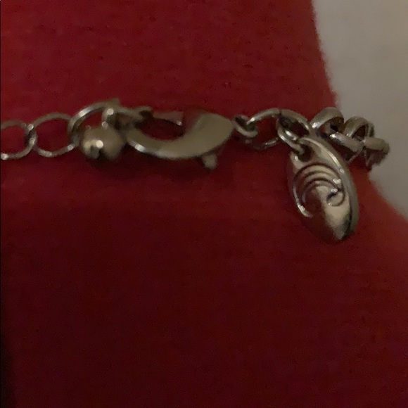 Charming Charlie Necklace - Picture 5 of 5